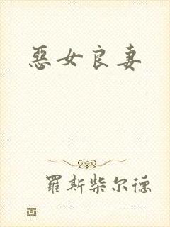 恶女良妻