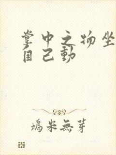 掌中之物坐上来自己动