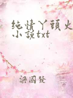 纯情丫头火辣辣小说txt