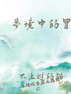 梦境中的冒险家