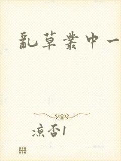 乱草丛中一杆枪