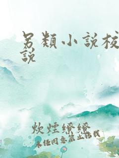 另类小说校园小说