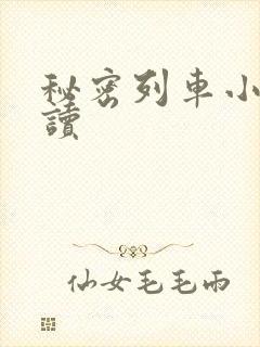 秘密列车小说阅读