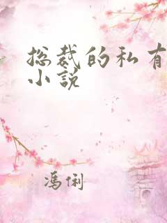 总裁的私有宝贝小说