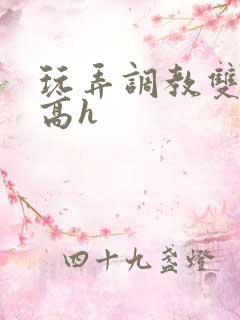 玩弄调教双胞胎高h