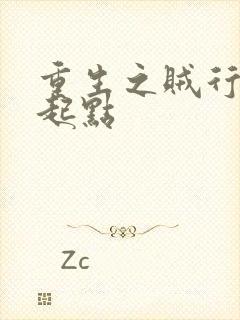 重生之贼行天下起点