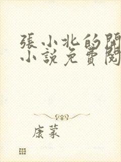 张小北的开光师小说免费阅读怎么没有276章