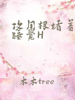 攻用根堵着小受睡觉H