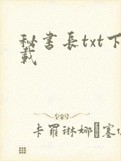 秘书长txt下载