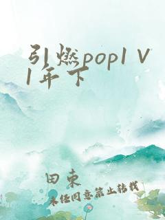 引燃pop1∨1年下