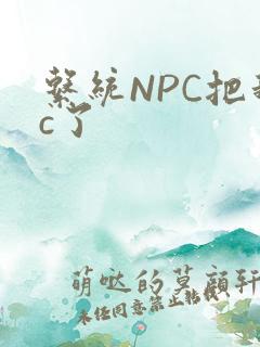 系统NPC把我c了