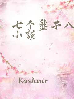 七个盘子八个碗小说