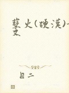 孽火(硬汉)今又