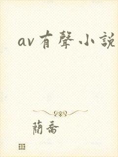 av有声小说