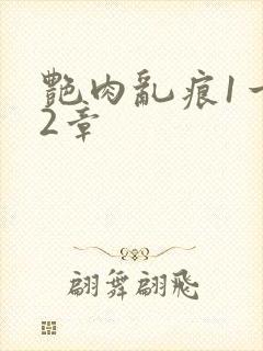 艳肉乱痕1一12章