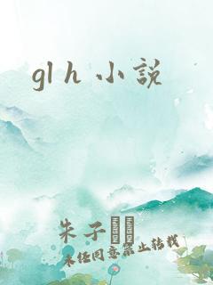 gl h 小说