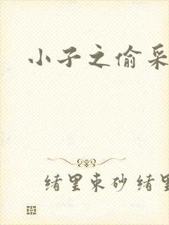 小子之偷采双圣