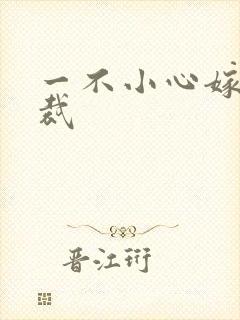 一不小心嫁给总裁