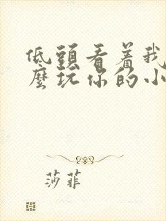 低头看着我是怎么玩你的小说