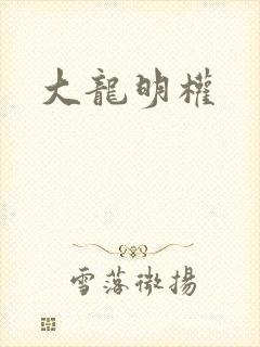 大龙明权