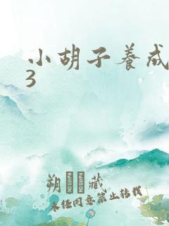 小胡子养成计划3