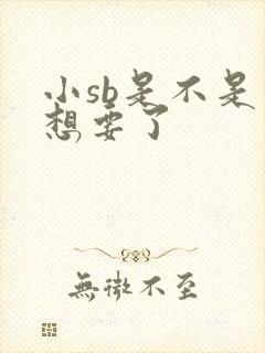 小sb是不是又想要了