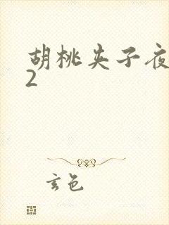 胡桃夹子夜未眠2