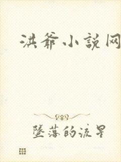 洪爷小说网