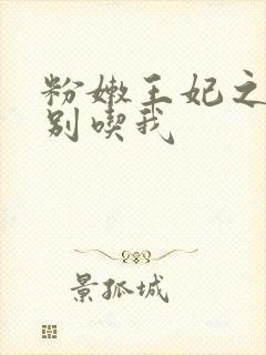 粉嫩王妃之殿下别吃我