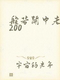 般若关中老人5200