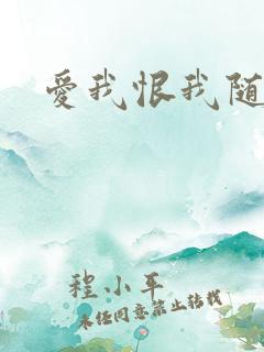 爱我恨我随便你