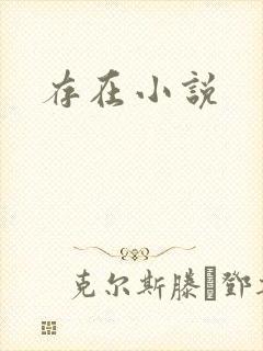 存在小说