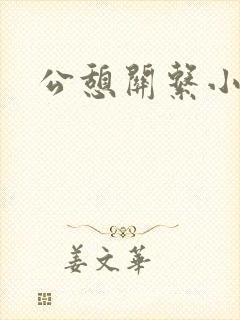 公憩关系小说