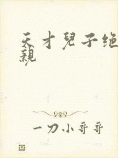 天才儿子绝色娘亲