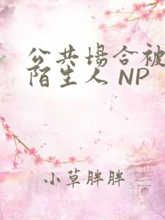 公共场合被各种陌生人 NP