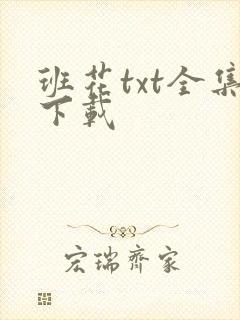 班花txt全集下载