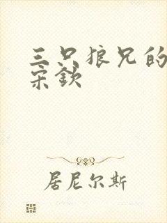 三只狼兄的宠妻宋钦