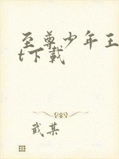 至尊少年王txt下载