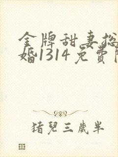 金牌甜妻总裁宠婚1314免费阅读