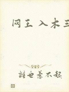 网王 入木三分