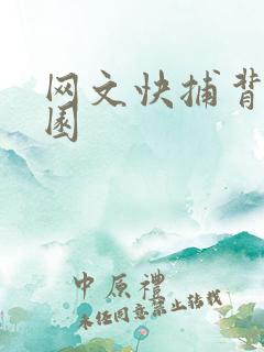 网文快捕背影家园
