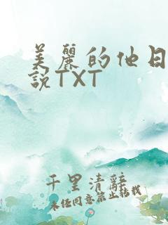 美丽的他日剧小说TXT
