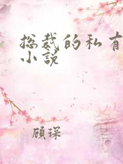 总裁的私有宝贝小说