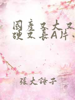 国产又大又粗又硬又长A片小说