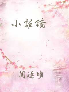 小说镜