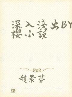 深入浅出BY胖樱小说