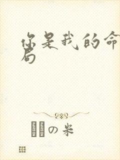 你是我的命运结局