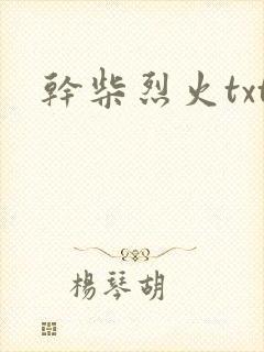 干柴烈火txt