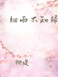 细雨不知归