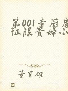 第001章厨房征服贵妇小说